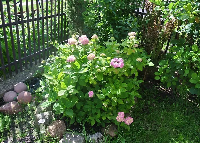 Moka Grzybowo (West Pomeranian)